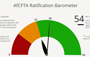 AfCFTA: 29 Signatories Countries deposited their instruments of ratification