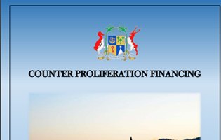 Guidelines on the Implementation of Targeted Financial Sanctions Under The United Nations (Financial Prohibitions, Arms Embargo And Travel Ban) Sanctions Act 2019