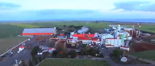 Les innovations d'Omnicane pour valoriser la canne et pérenniser l’industrie