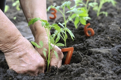 Blue Number Initiative - A Global Registry for Sustainable Farmers