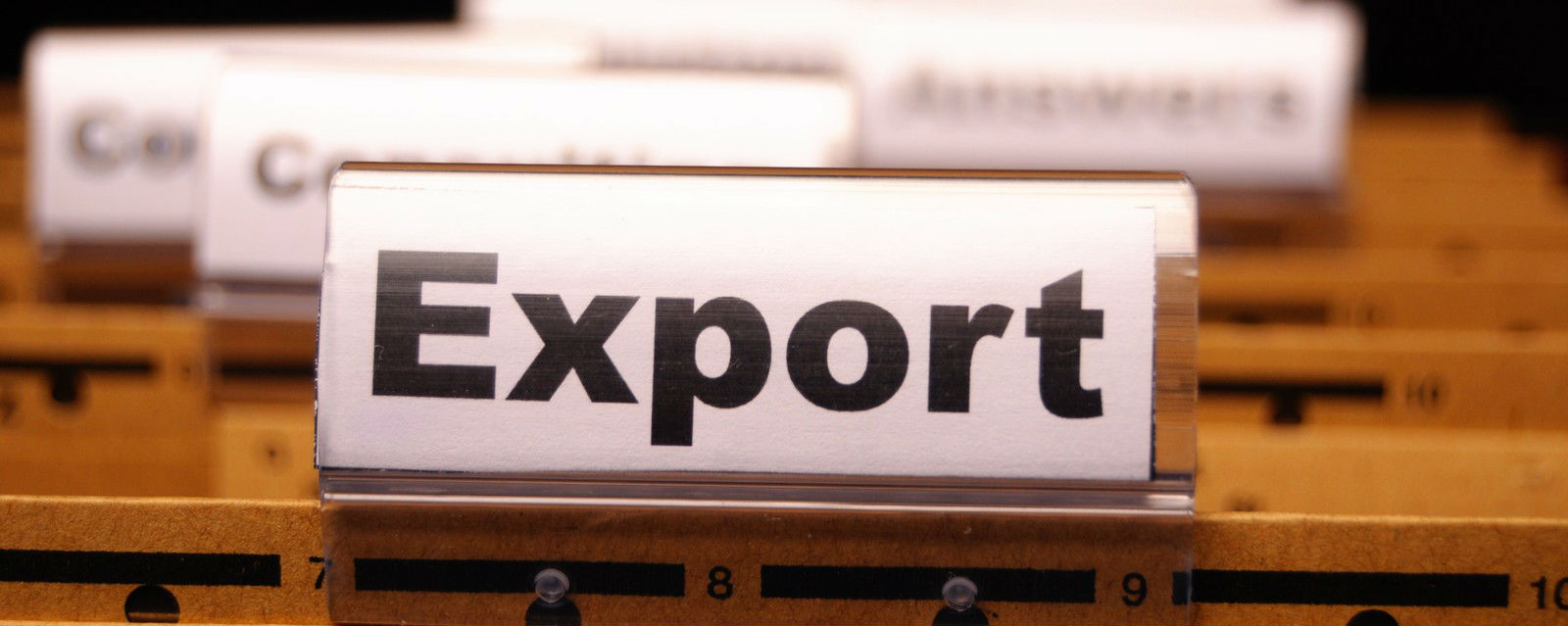 Application for Export Permit through Mauritius Trade Link