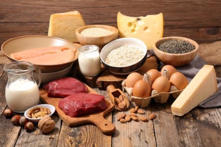 UK’S Arrangements for Trade in Live Animals and Animal Products