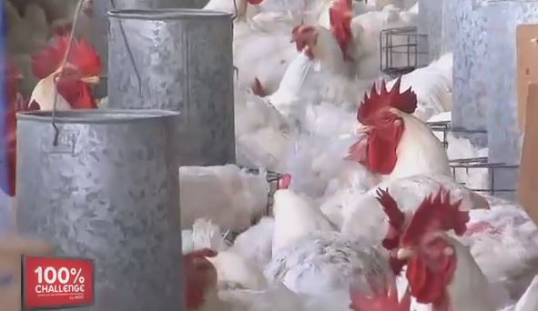 Food & Allied à Madagascar : Intégration verticale réussie