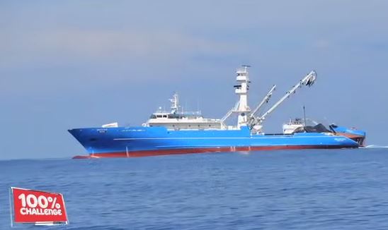 Valoriser le thon, Sapmer crée de nouveaux emplois